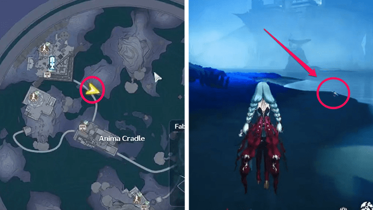 Get a Painted Mantis Shrimp at Anima Cradle