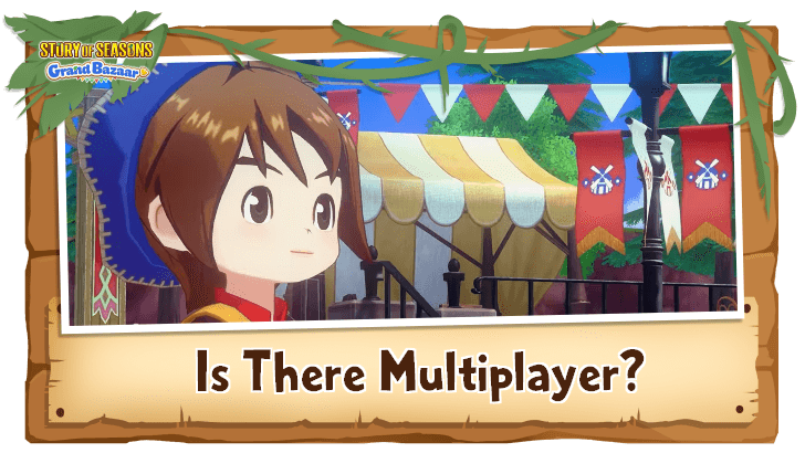 Story of Seasons Grand Bazaar - Is There Multiplayer