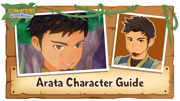 SoS - Arata Character Guide
