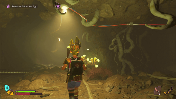 Hatchery Anthill Junction