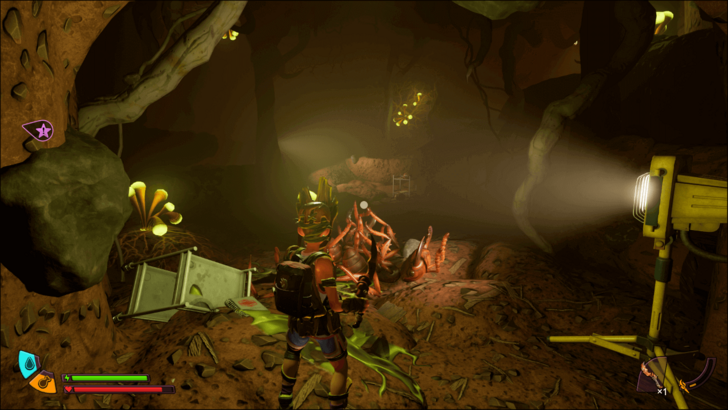 Red Soldier Ant Egg Location