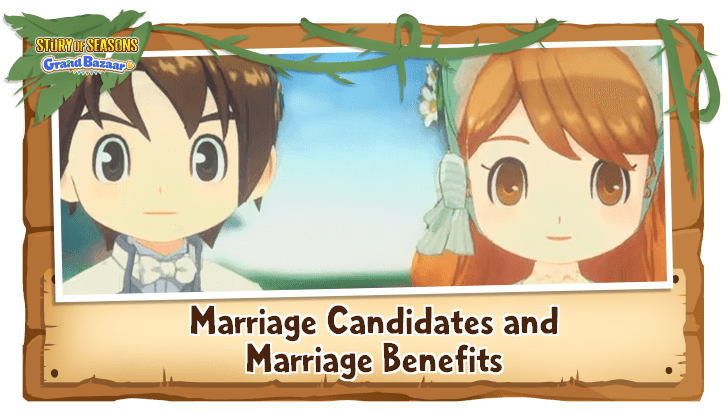Story of Seasons Grand Bazaar - Marriage Candidates & Marriage Benefits