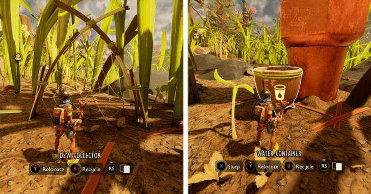 Dew Collector and Water Container