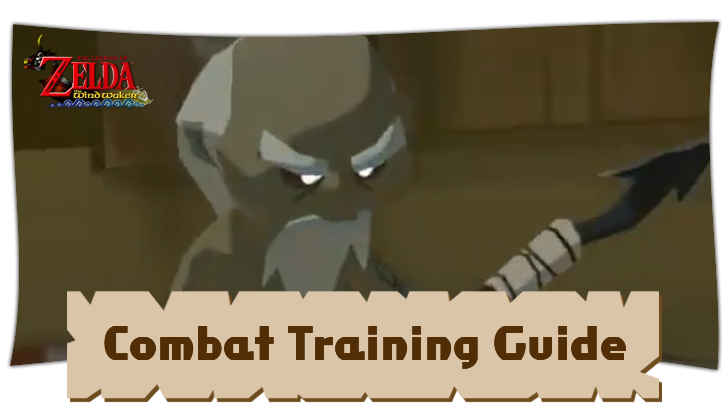 Combat Training Guide