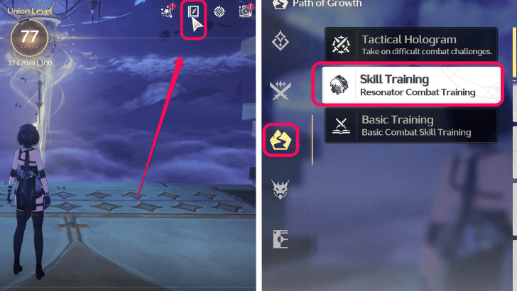 Go to Skills Training in the Guidebook