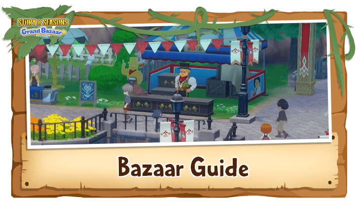 Bazaar Guide