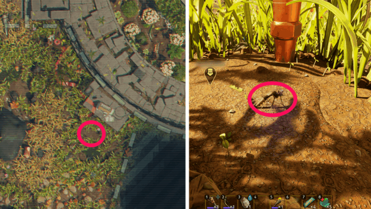 ORC Mosquito Location 1