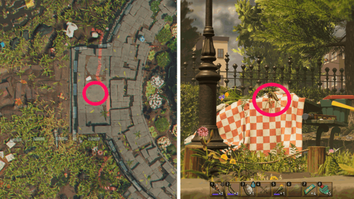 ORC Mosquito Location 2