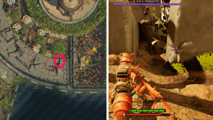 ORC Mosquito Location 3