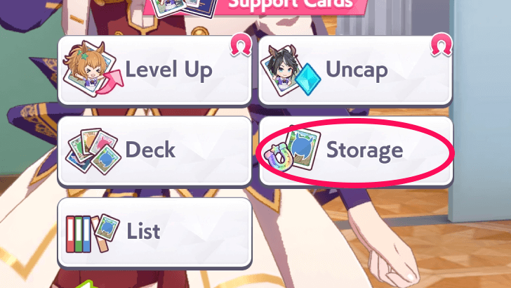 Go to "Storage" in  "Support Cards"