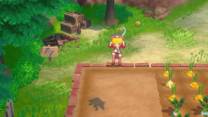 Story of Seasons Grand Bazaar - How to Double Jump