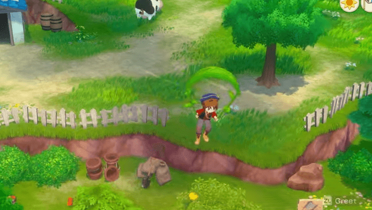 Story of Seasons Grand Bazaar - Gliding