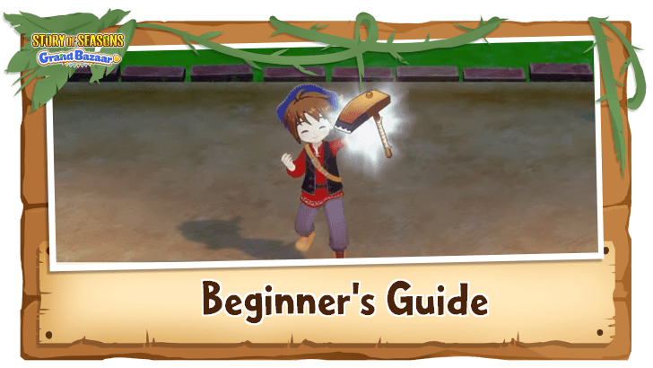 Story of Seasons Grand Bazaar - Beginner