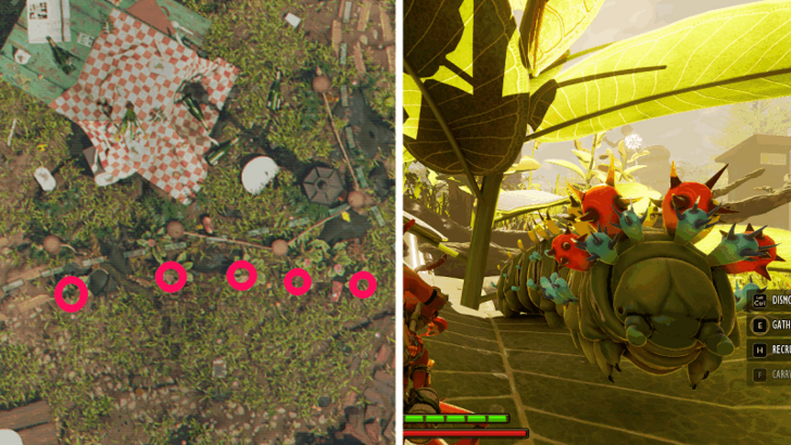 Caterpillar Location 2