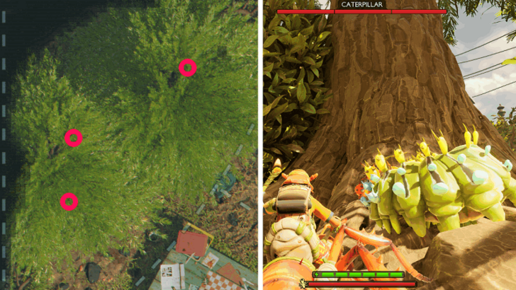 Caterpillar Location 4