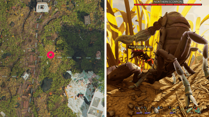 Northern Scorpion Location