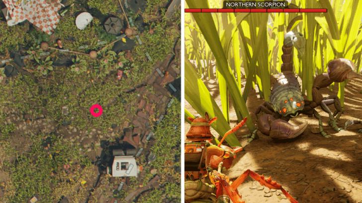 Northern Scorpion Location