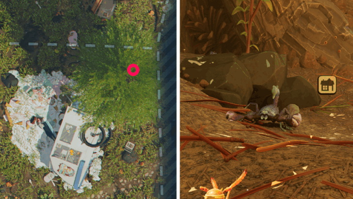 Northern Scorpion Location