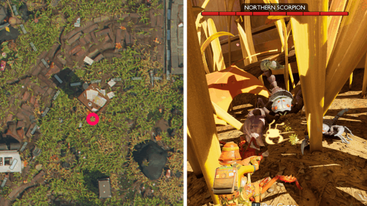 Northern Scorpion Location