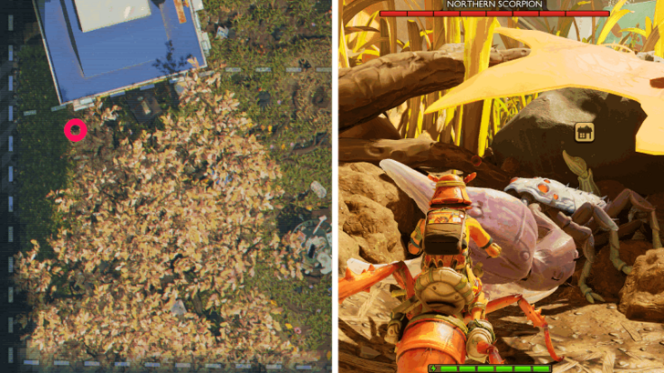 Northern Scorpion Location