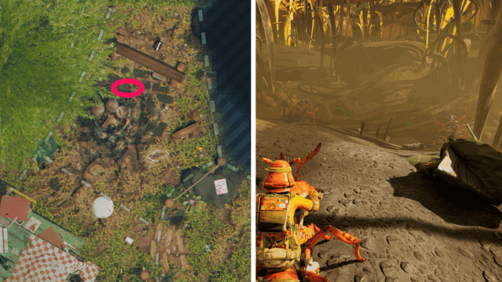 O.R.C. Cockroach Location