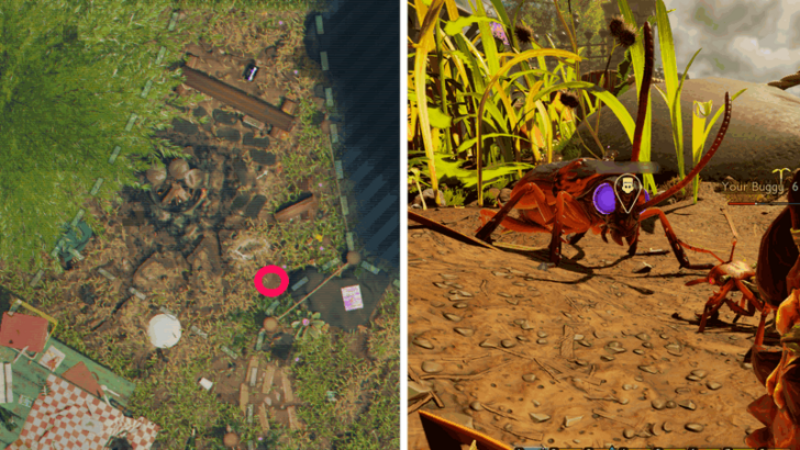 O.R.C. Cockroach Location