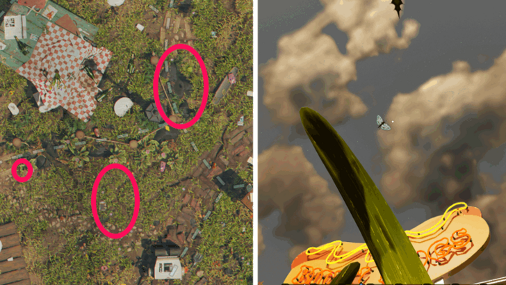 Blue Butterfly Location