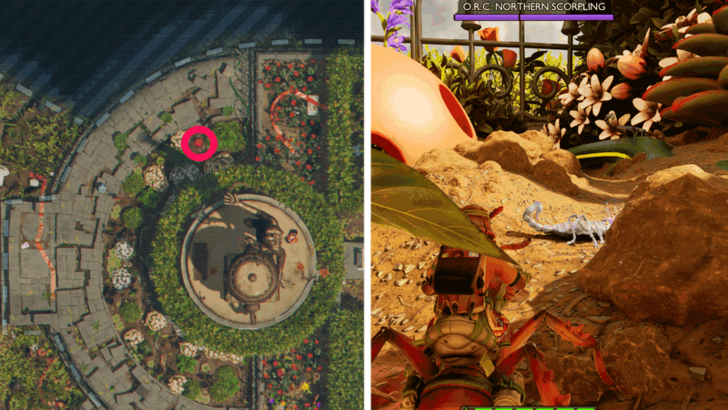 O.R.C. Northern Scorpling Location