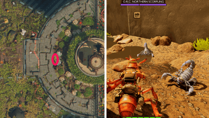 O.R.C. Northern Scorpling Location