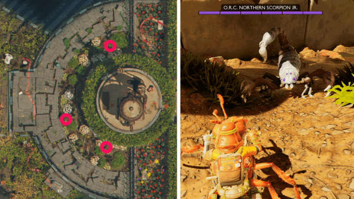 O.R.C. Northern Scorpion Jr. Location