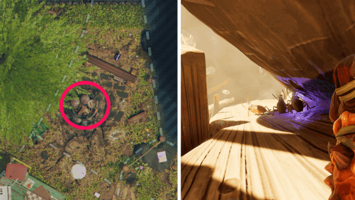 O.R.C. Cockroach Nymph Location