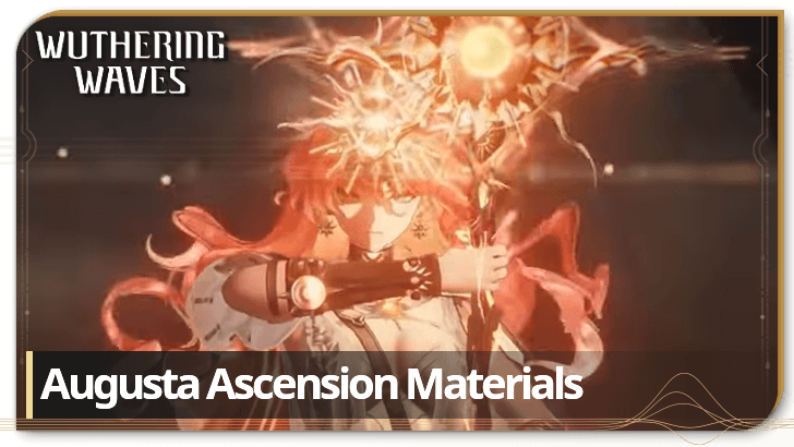 Augusta Ascension Materials