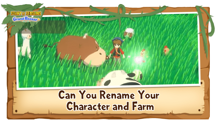 Story of Season Grand Bazaar - Can You Rename Your Character