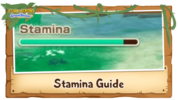 Story of Seasons Grand Bazaar - Stamina Recovery