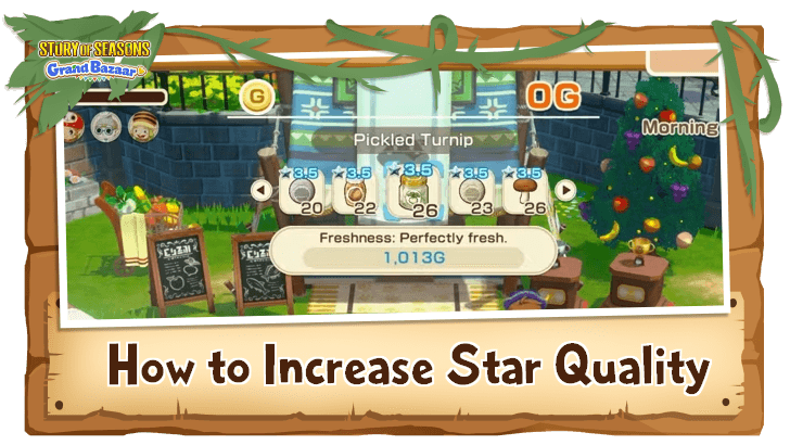 Story of Seasons Grand Bazaar - Star Quality Guide