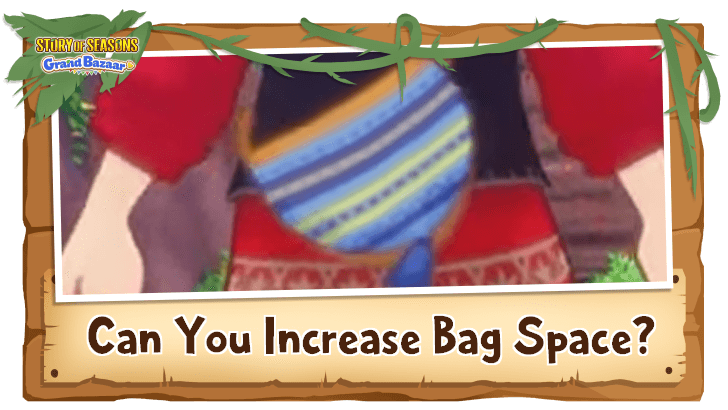 Story of Seasons Grand Bazaar - Can You Increase Bag Space