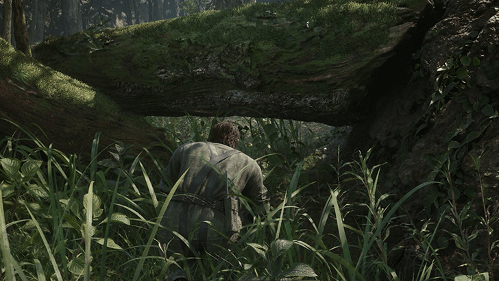 Dremuchij South Step 1