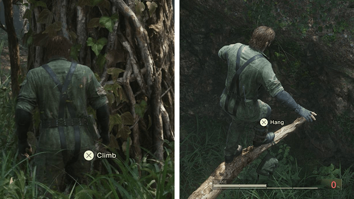 Dremuchij South Step 2