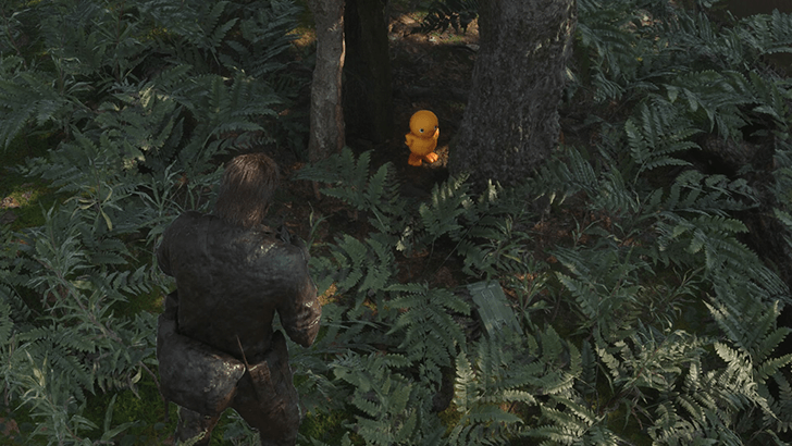 Dremuchij Swampland Gako