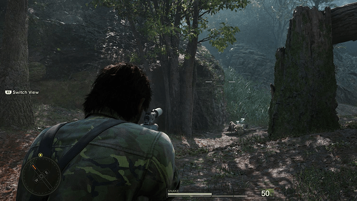 Dremuchij North Step 2