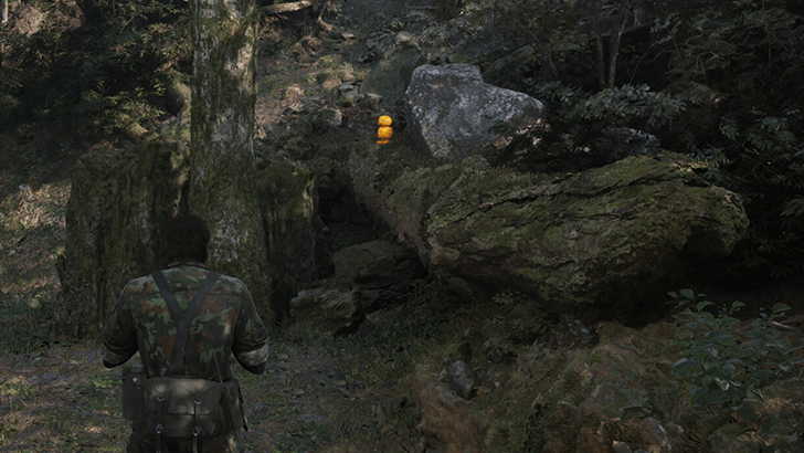 Dremuchij North Gako Location