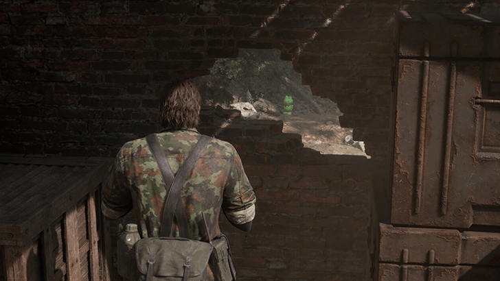 Rassvet Kerotan Frog Location