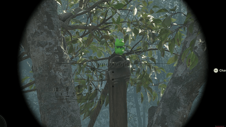 Dolinovodno Kerotan Frog Location