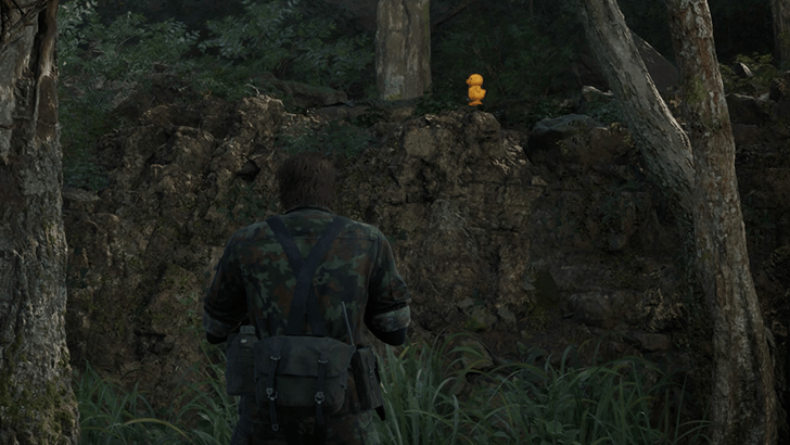 Dolinovodno Gako Location