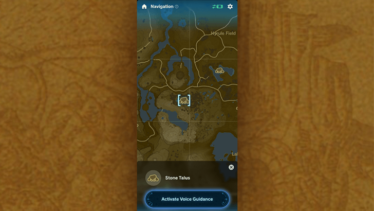 Activate Voice Guidance Button