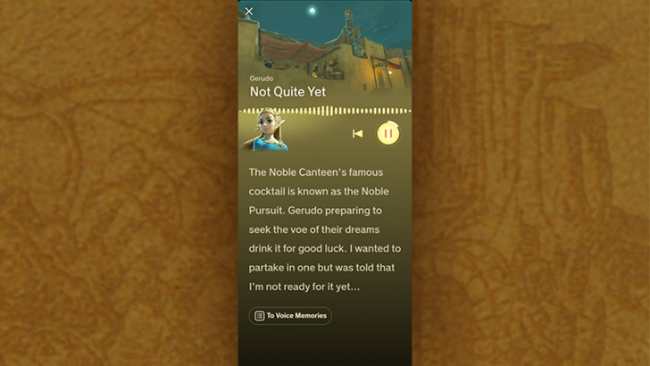 How to Access Voice Memories