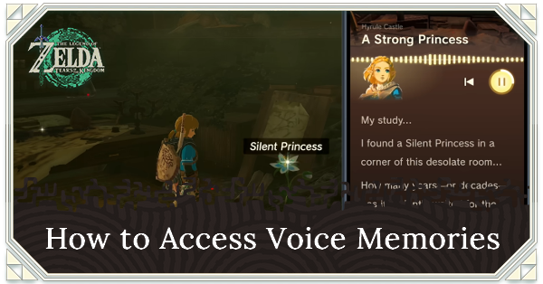 How to Access Voice Memories