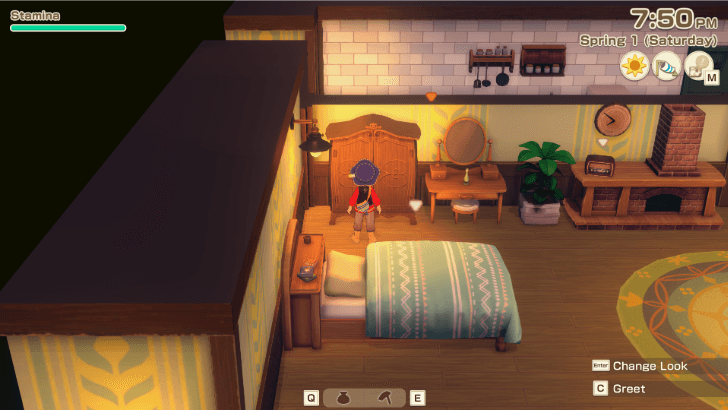 Story of Seasons Grand Bazaar - Closet