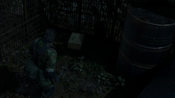 Zombie Face Paint Location