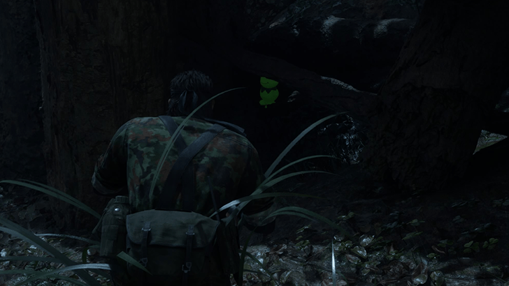 Dremuchij East Kerotan Frog Location